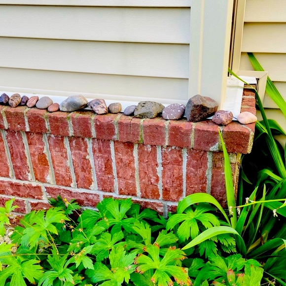 Red Rocks-Great 4 Plants,Fish,Turtles 2.5-3Lbs Various Sizes,Small/Medium 2-3.5” - Picture 4 of 9